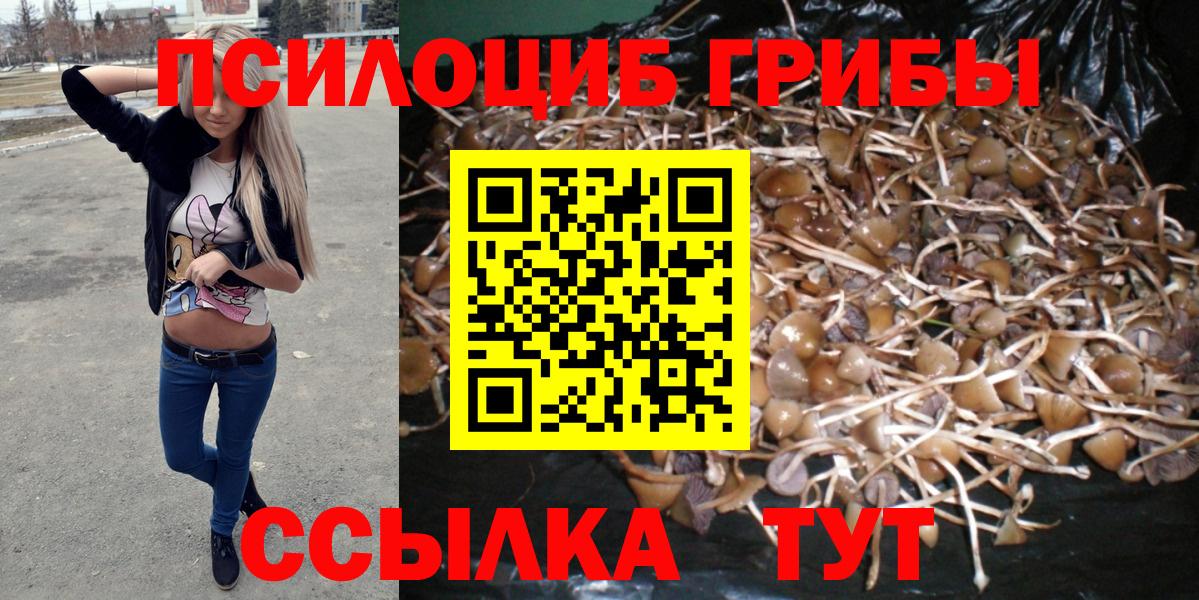 Галлюциногенные грибы MAGIC MUSHROOMS Корсаков