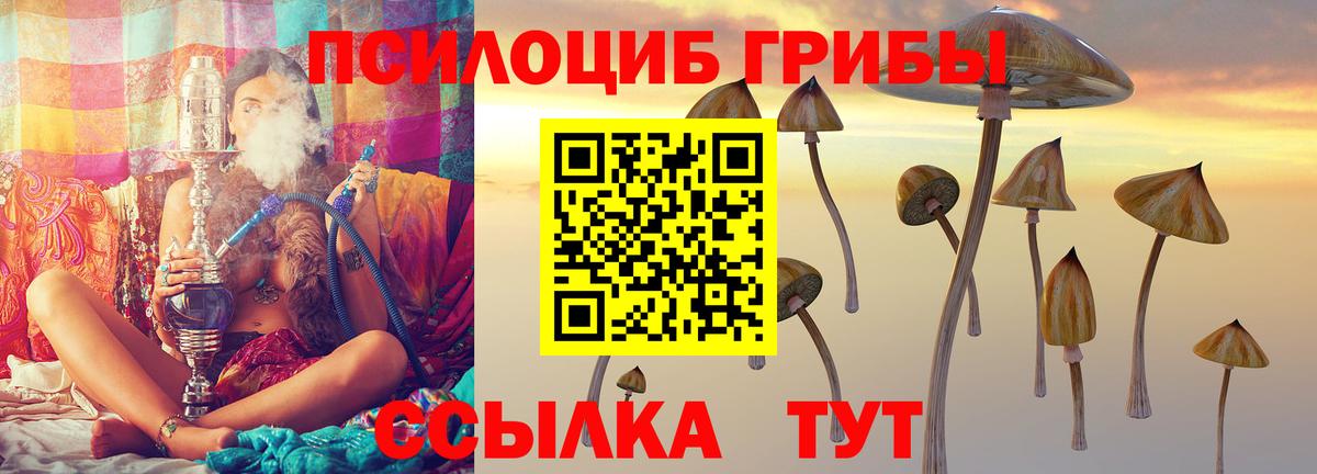 Галлюциногенные грибы Magic Shrooms  как найти закладки  Корсаков  Галлюциногенные грибы прущие грибы  Вход с VPN 
